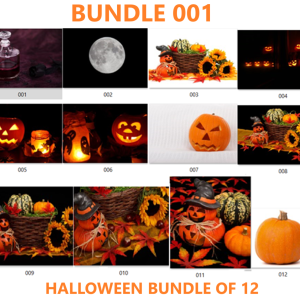 Halloween Bundle of 12 - 001