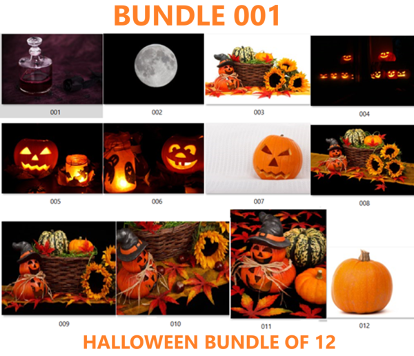 Halloween Bundle of 12 - 001