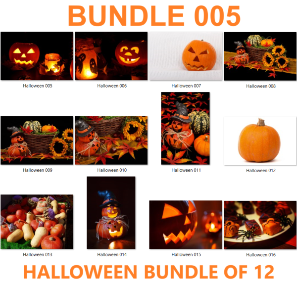 Halloween Bundle of 12 - 005